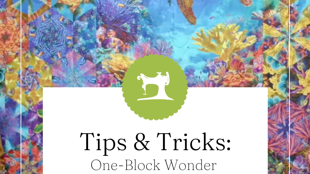 One-Block Wonder Quilts that Wow!