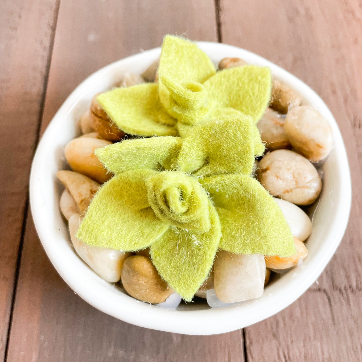 DIY Felt Succulents No Sew Project