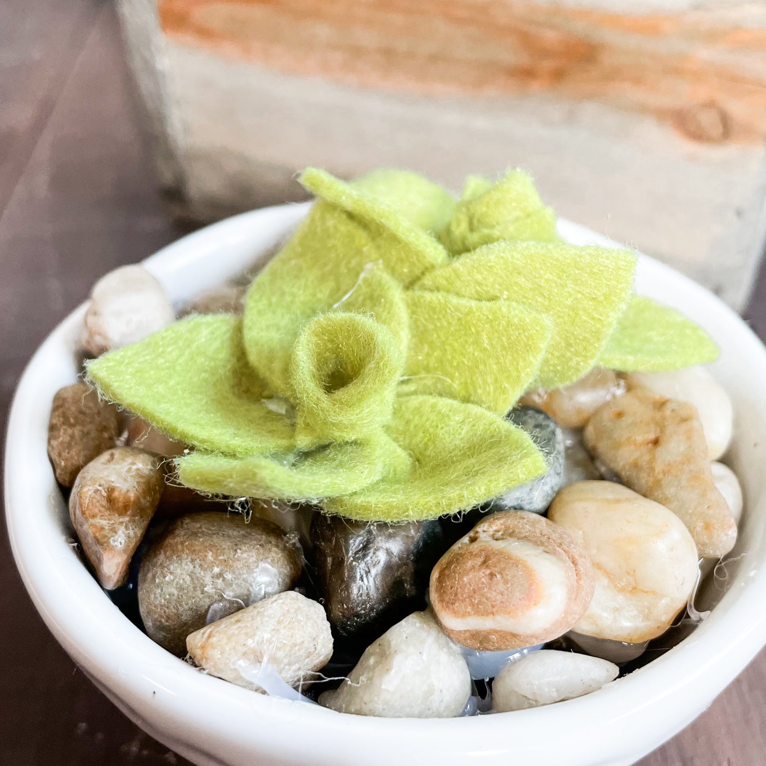 DIY Felt Succulents No Sew Project