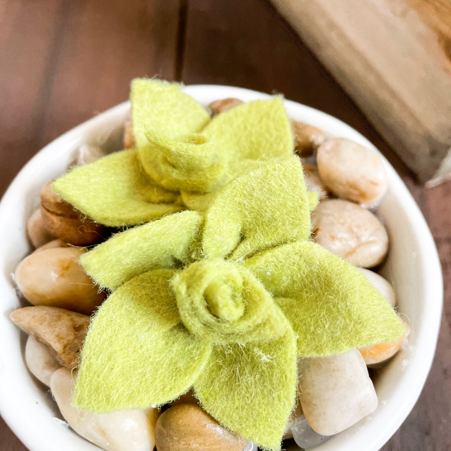 DIY Felt Succulents No Sew Project