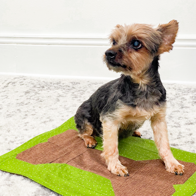 Dog Bone Kennel Quilt Kit