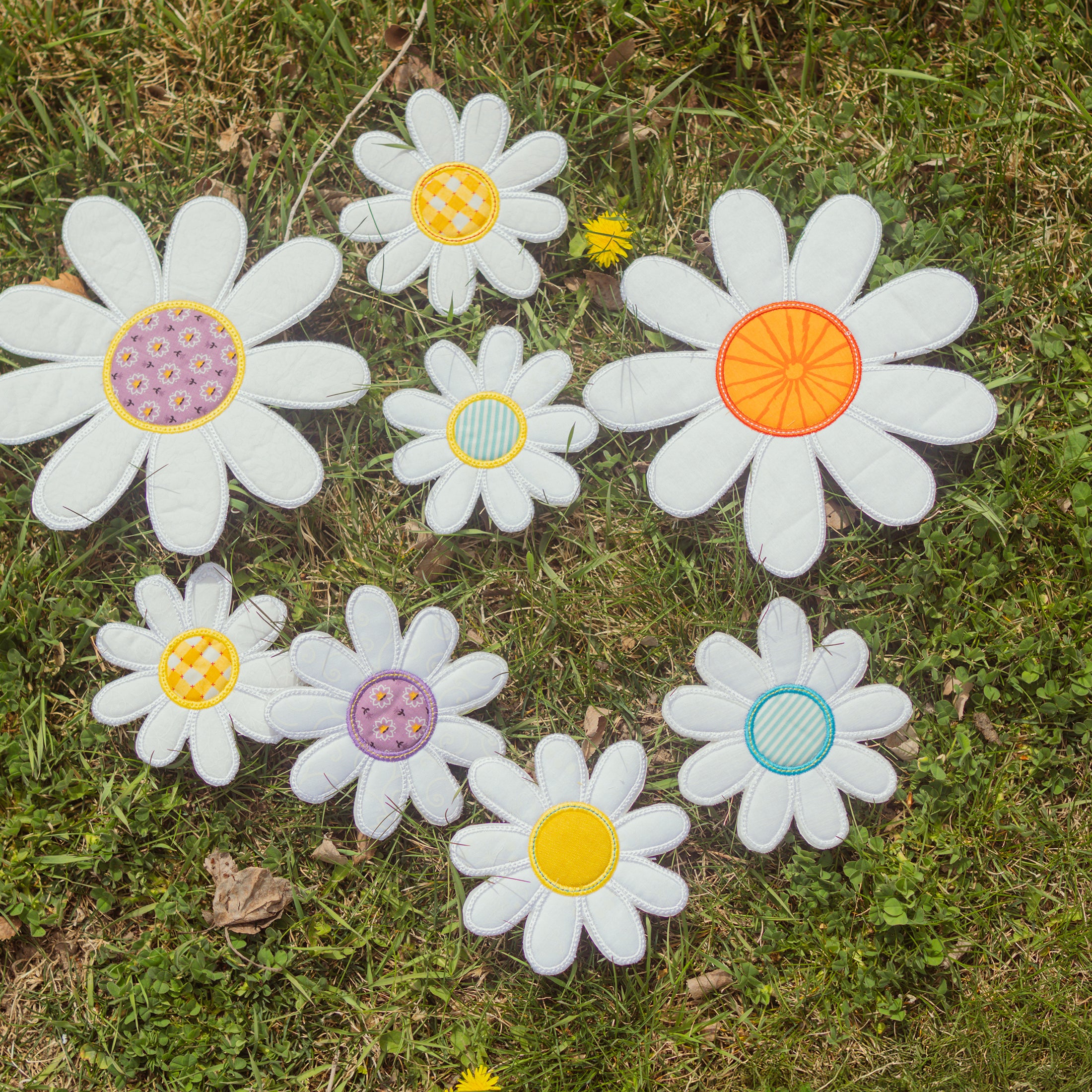 Daisy's