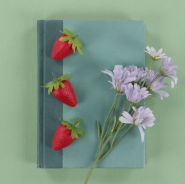 A square book or notebook with a teal cover and dark blue spine, styled with three red strawberries and a sprig of light purple flowers on a solid light green background.