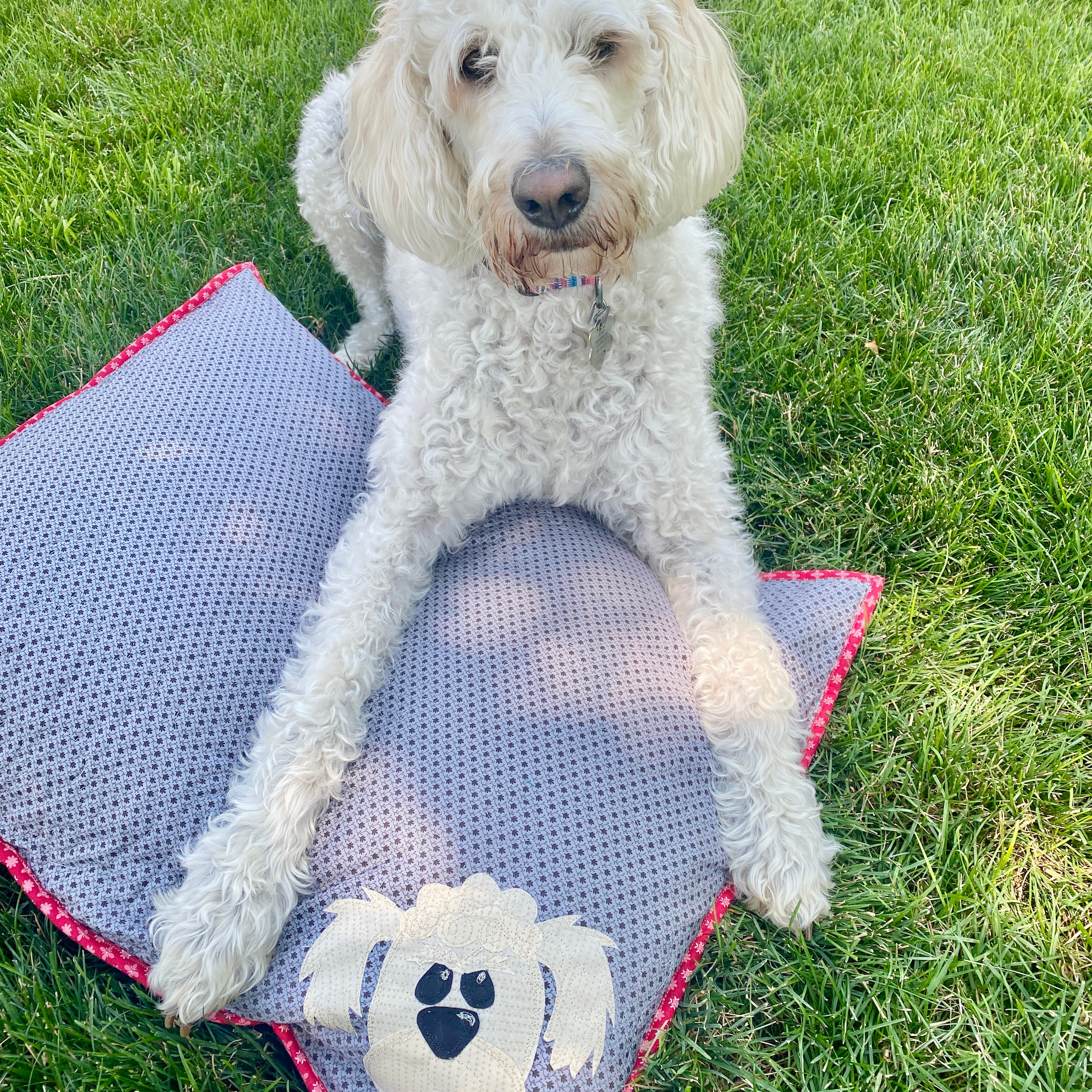 My Dog's Bed (Downloadable Pattern)