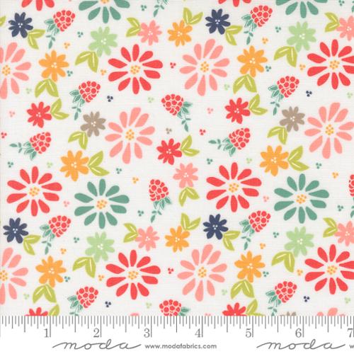 Raspberry Summer Backing (2 3/4 yd)