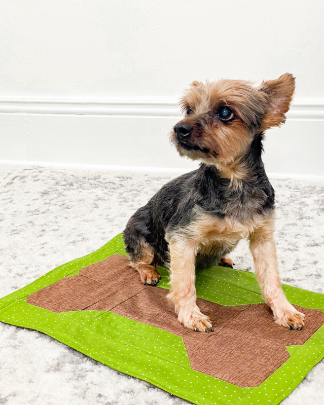 Dog Bone Kennel Quilt Kit 