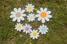Daisy's