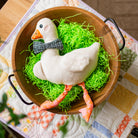 Decorative goose figurine with a bow tie in a wooden bowl on a patterned tablecloth.