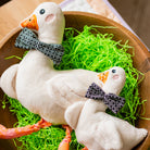 Two white plush ducks with black bow ties in a wooden bowl with green grass and carrots.