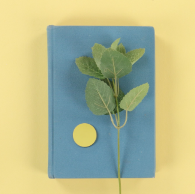 A blue hardcover book or notebook on a pale yellow background, with a green leafy stem laid across the front and a small round yellow tag near the lower left area.