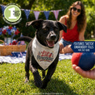 A black dog wearing a white plaid bandana with 'Lil' Firefighter' embroidered on it, running on a grassy lawn outdoors. A woman is sitting in the background, and a blue ball is visible in the foreground.