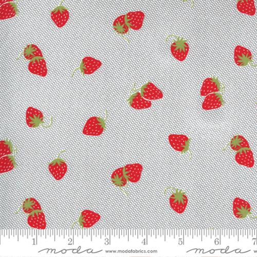 Sunday Stroll- Grey 1 Yd Cut