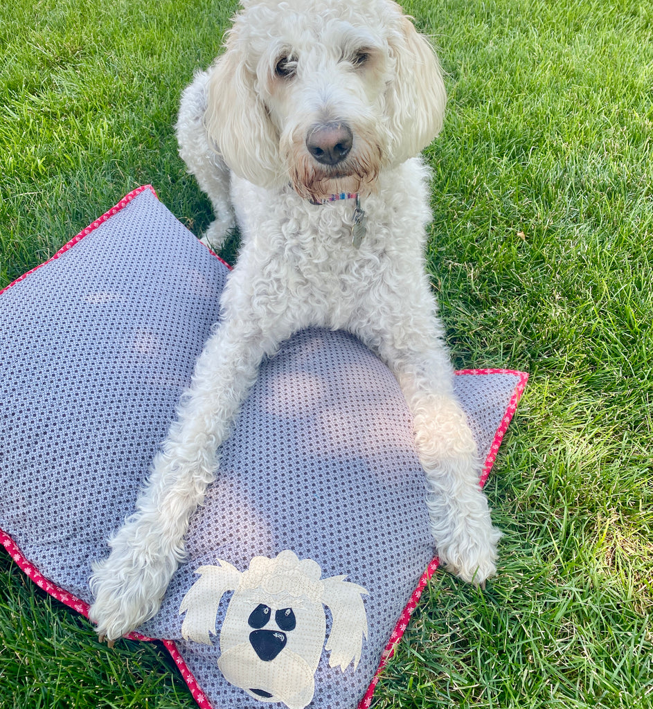 My Dog's Bed (Downloadable Pattern)